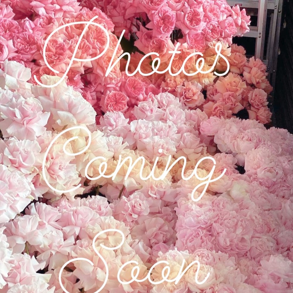 Club Monaco trench coat